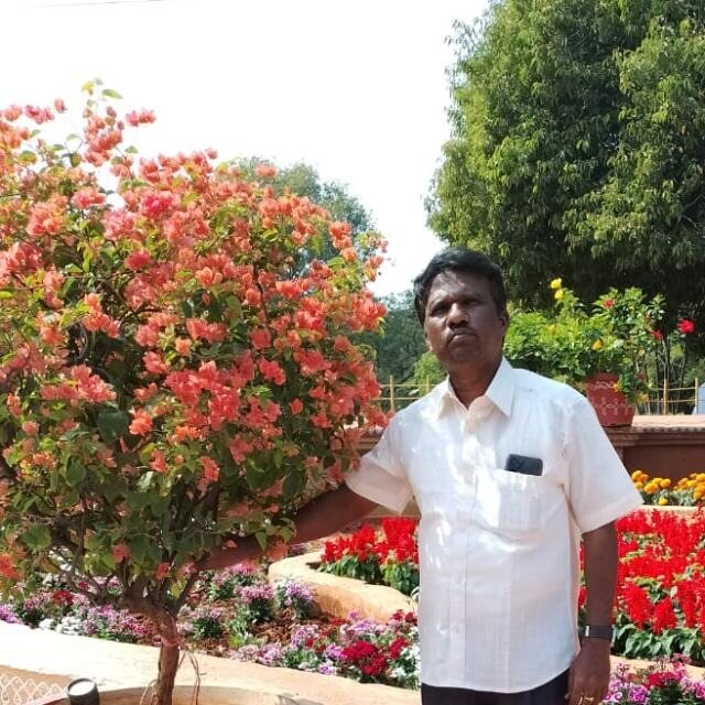 Sreenivasulu